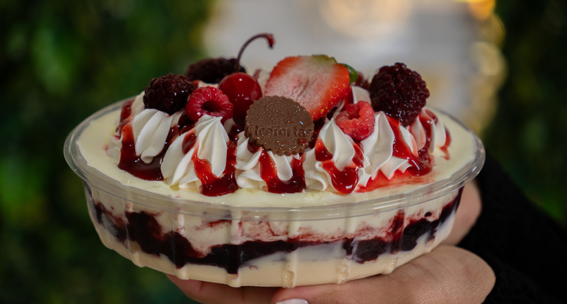 IceTorta de frutas vermelhas pronta